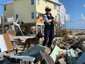 Photo of Johnson and search dog Crush