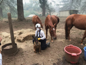 jackie johnson with her search dog and the three horses at Oregon fires