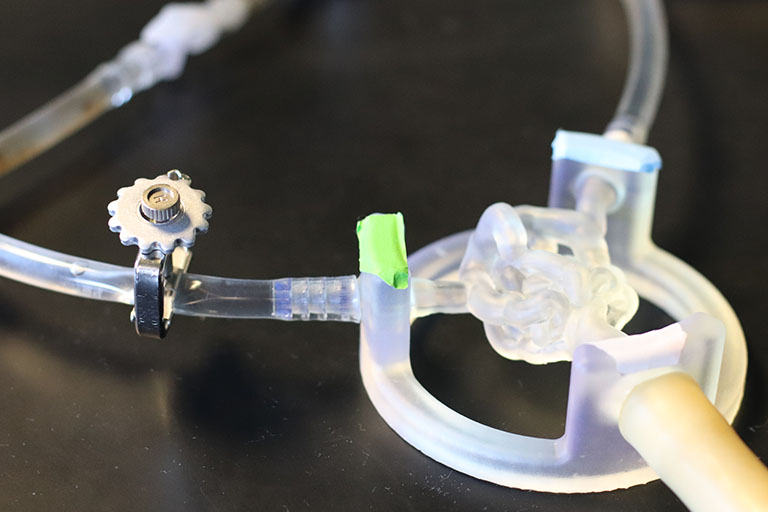 Cerebral arteriovenous malformations resin model with a clamp on it.